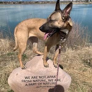 Meet your Posher, Dylan